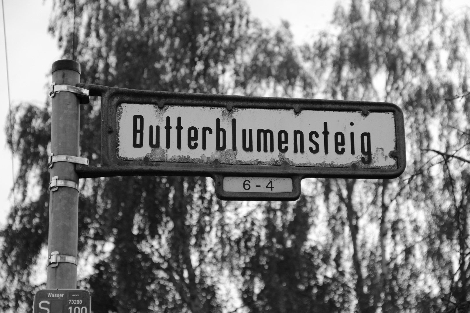 Butterblumensteig