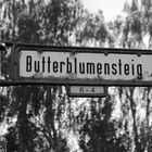 Butterblumensteig