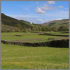 Buttercup pasture 1b near Muker in swaledale