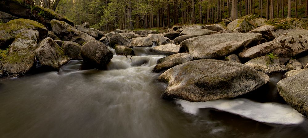 Butterfass (Waldnaabtal)