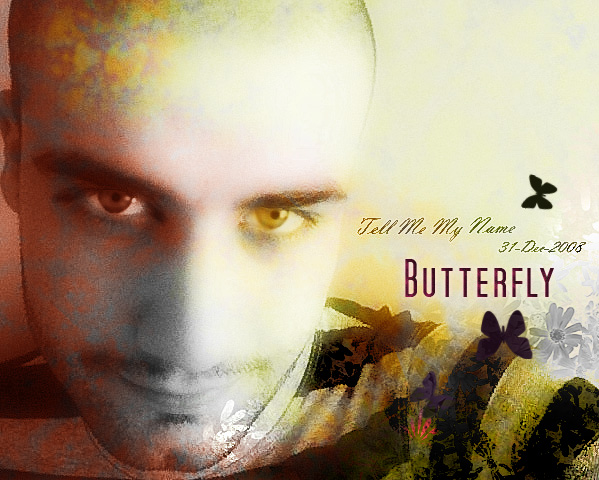 Butterflay in face