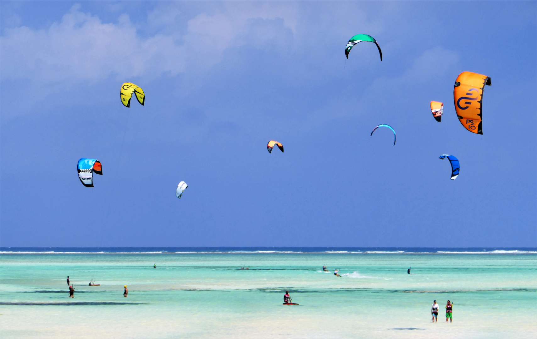 Butterflies at Paje Beach