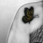 Butterfly.....