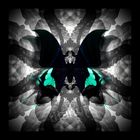 BUTTERFLY 23