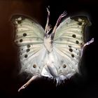 Butterfly ballerina