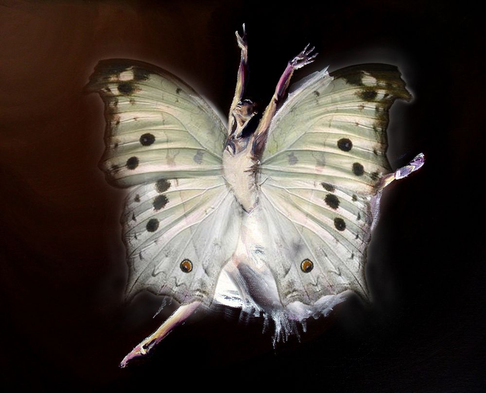 Butterfly ballerina