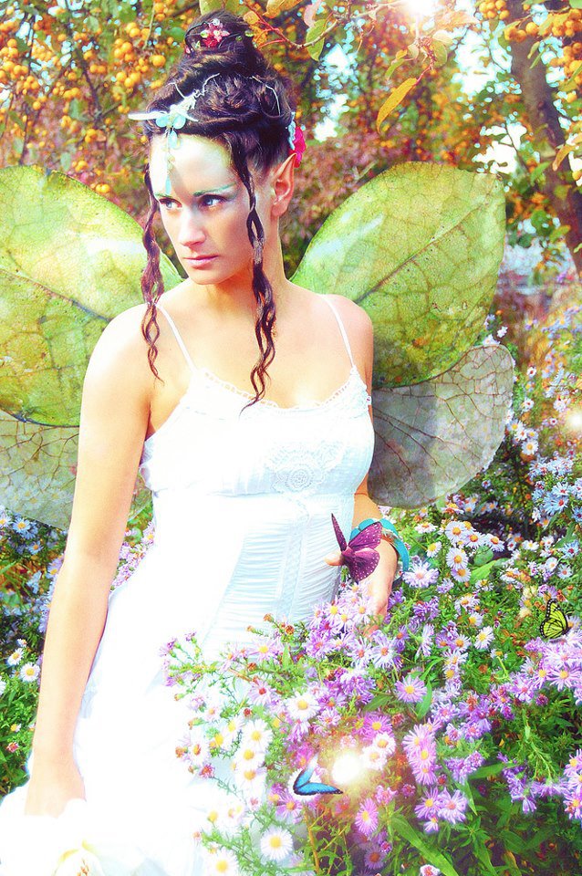 -Butterfly-