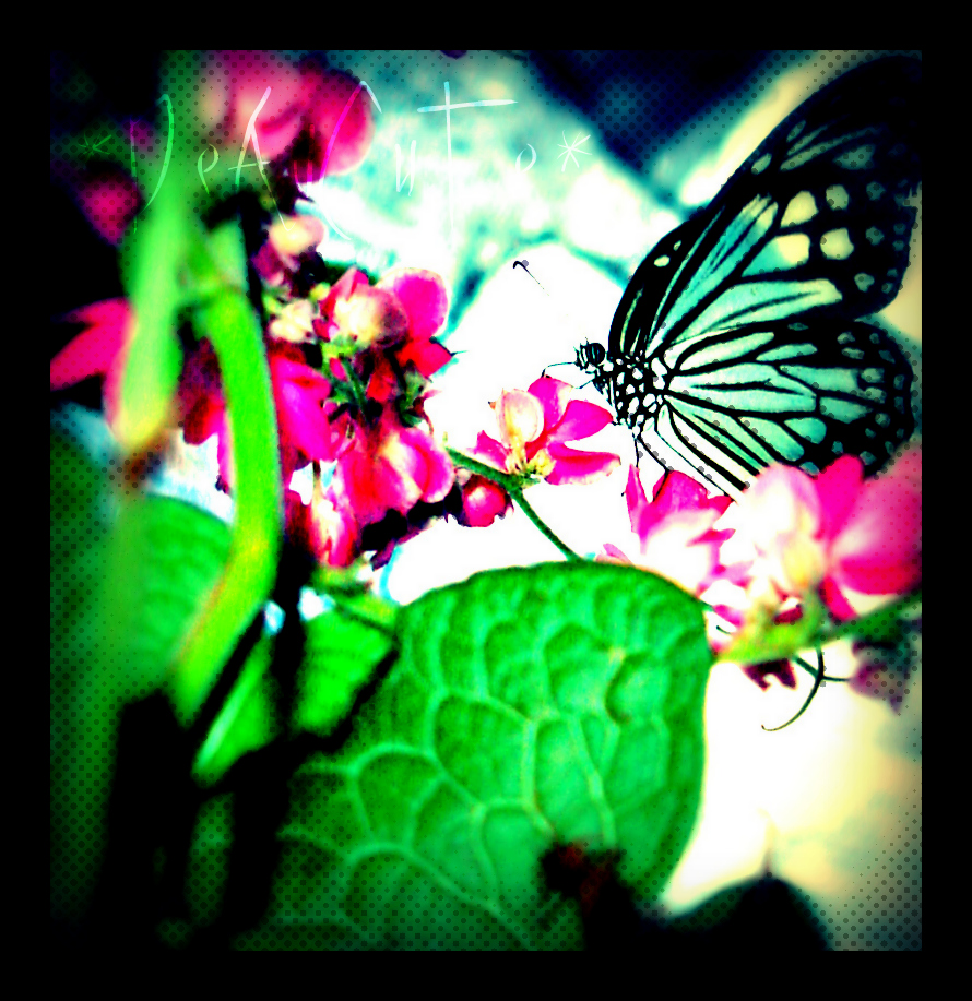 Butterfly Effect..............