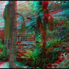 Butterfly Garden in 3D