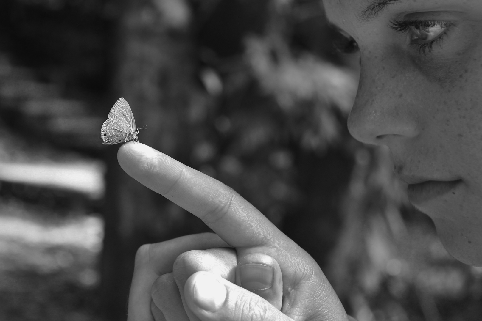 butterfly meets human