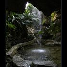 BUTTERFLY PARK-HOUSTON