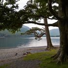 Buttermere Lake