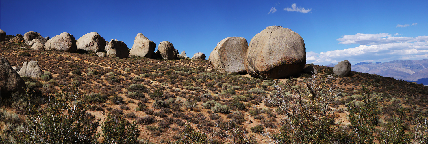 Buttermilks...