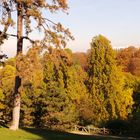 buttes Chaumont