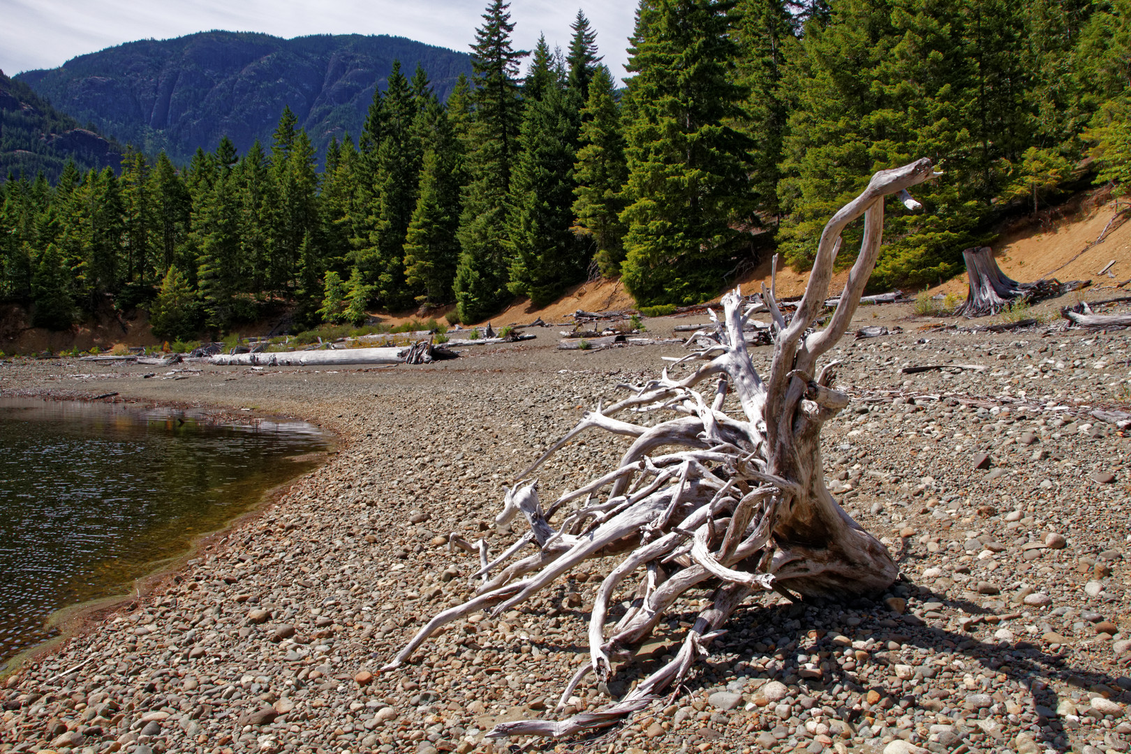 Buttle Lake Vancouver Island