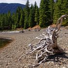 Buttle Lake Vancouver Island