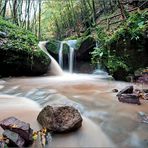 Butzerbach im Herbst 2013