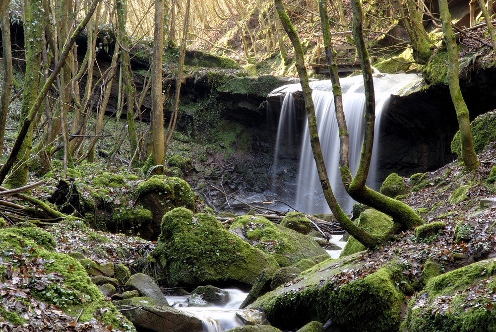 Butzerbacher Wasserfälle II