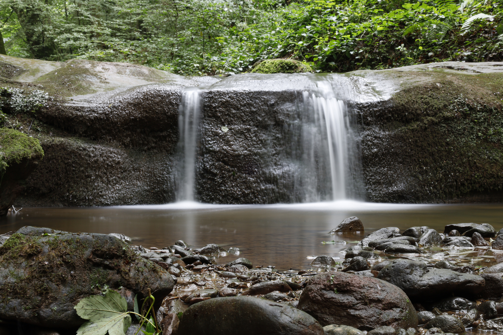 butzerbachtal