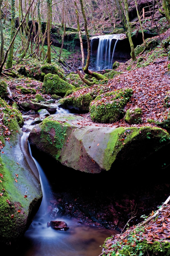 Butzerbachtal im November