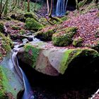 Butzerbachtal im November