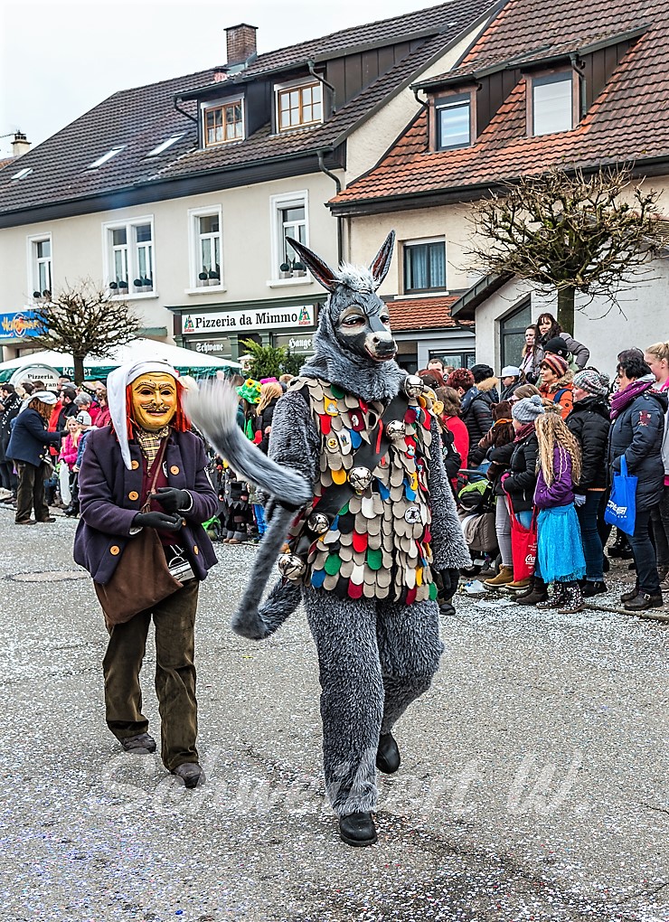 Buurefasnet z`Hauingen