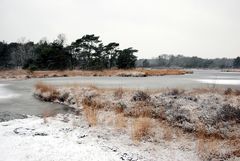 Buurse (Haaksbergen) - nature reserve het Buurserzand