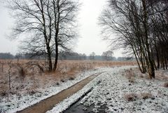 Buurse (Haaksbergen) - nature reserve het Witte Veen