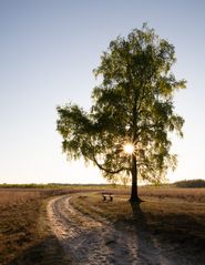 Buurse - Haaksbergerveen - 13