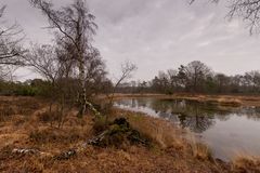 Buurse/Boekelo - Buurserzand - 16