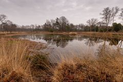 Buurse/Boekelo - Buurserzand - 18