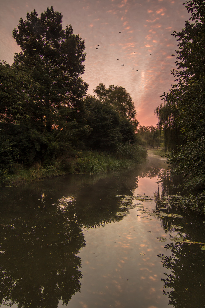 Buurser Beek am Morgen