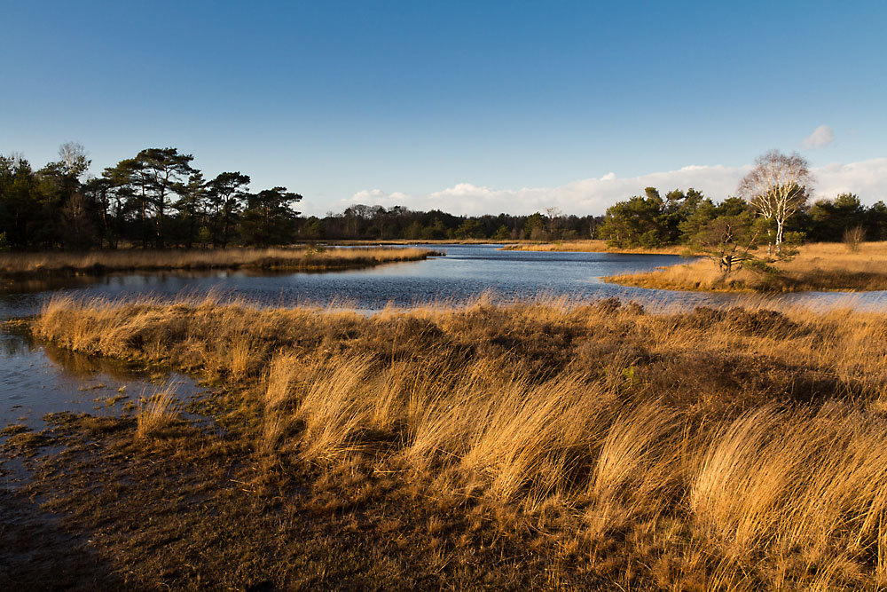 Buurserzand (2)