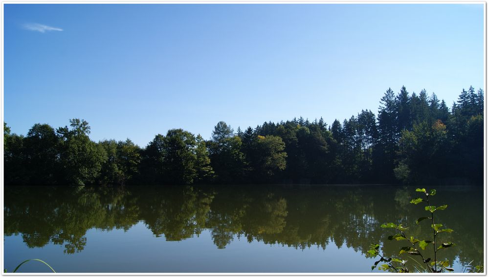 Buxheimer Waldsee von Miss-Red und Mr-Paulisch 