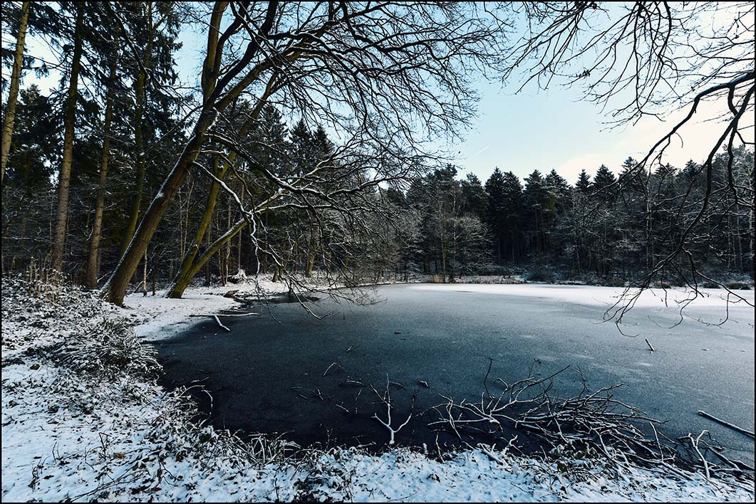 Buxtehuder Winteransichten