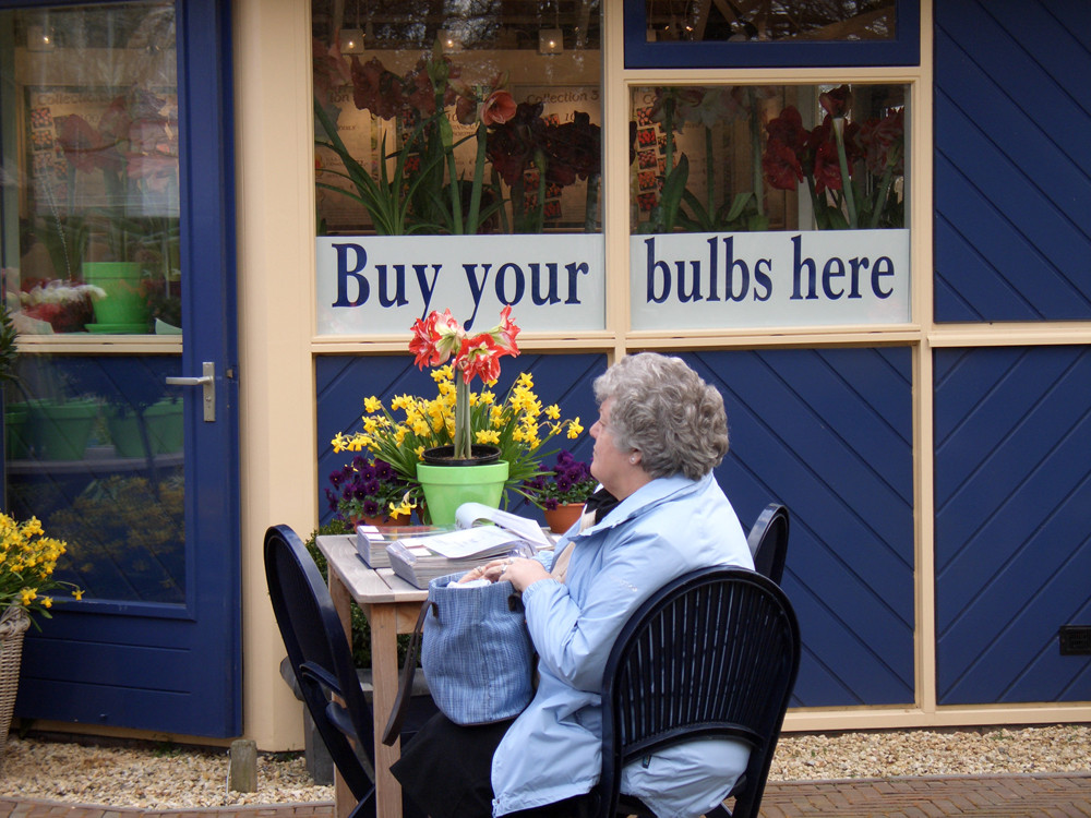 Buy your bulbs here