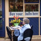 Buy your bulbs here