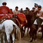 Buzkashi