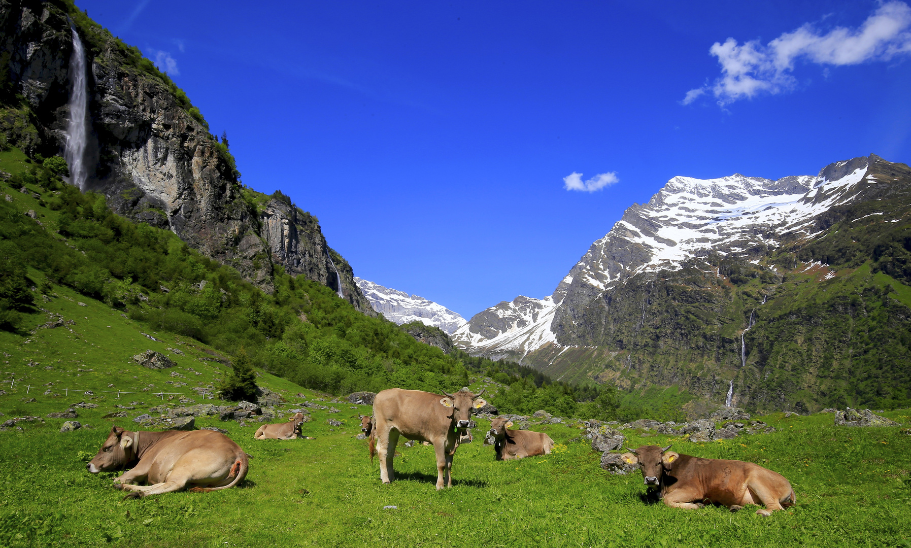 Buzli , Madreanertal , Düssi