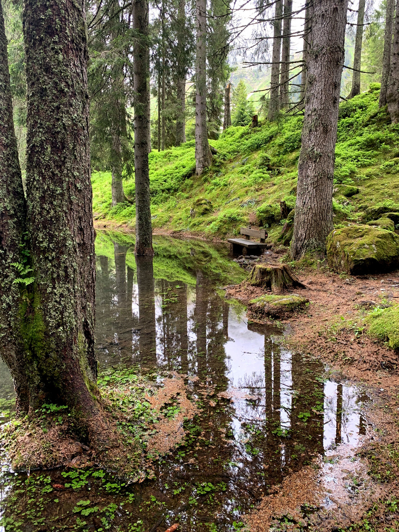 Buzlisee , Hotel Maderanertal