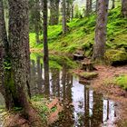 Buzlisee , Hotel Maderanertal