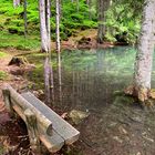 Buzlisee , Maderanertal