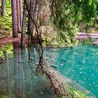 Buzlisee , Maderanertal