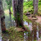 Buzlisee , Maderanertal