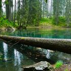 Buzzlisee , Maderanertal