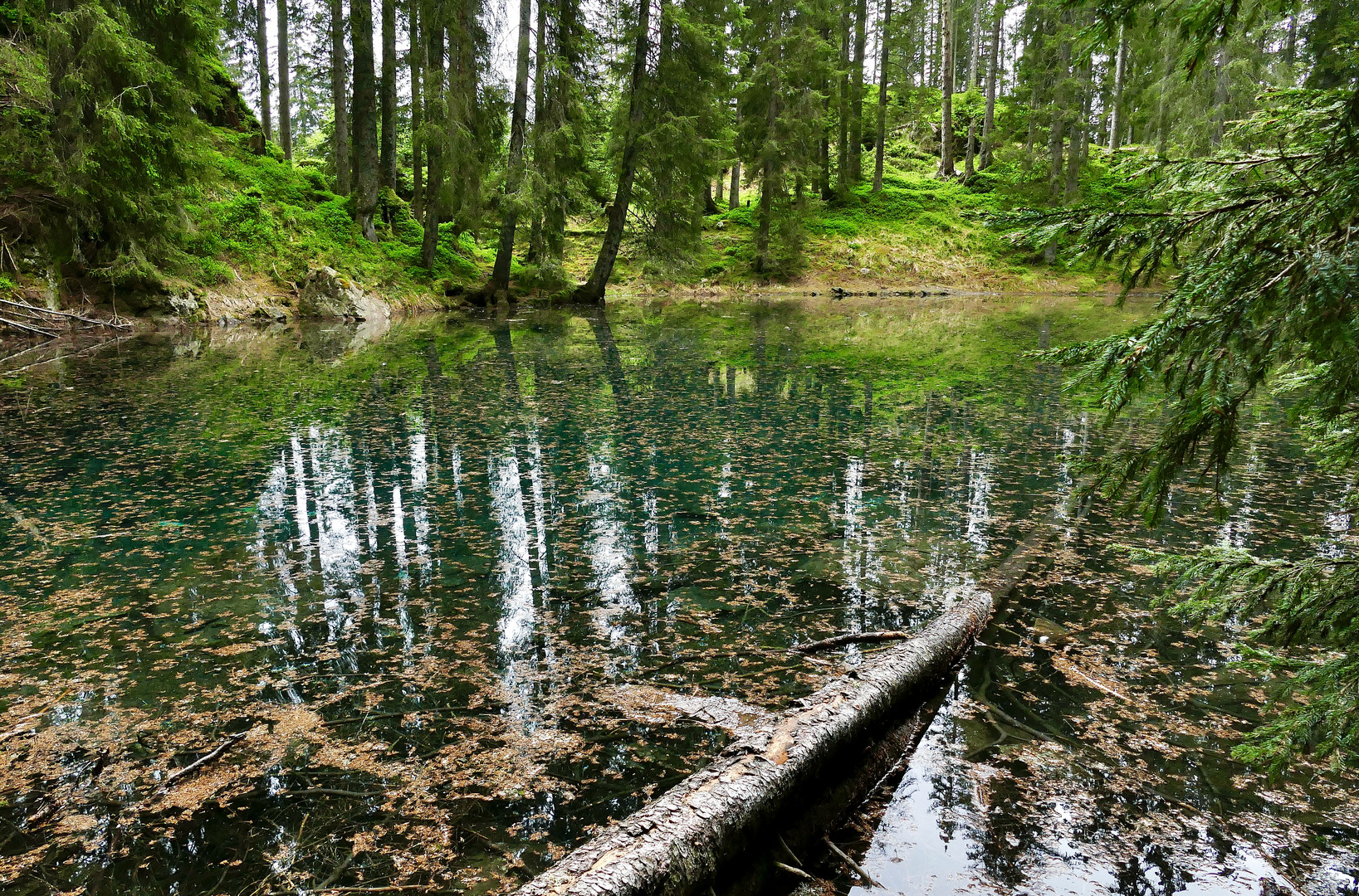 Buzzlisee , Maderanertal