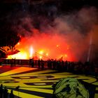 BVB 09 Bengalos