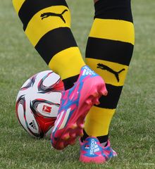 BVB 09 vs. KSV Hessen Kassel 15.07.14 5734