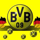 BVB