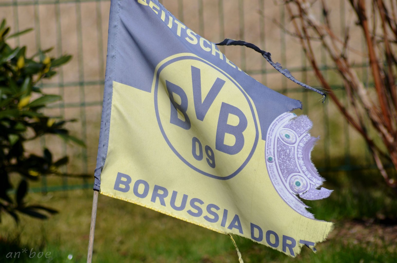 BVB 2015 - fahntastisch real